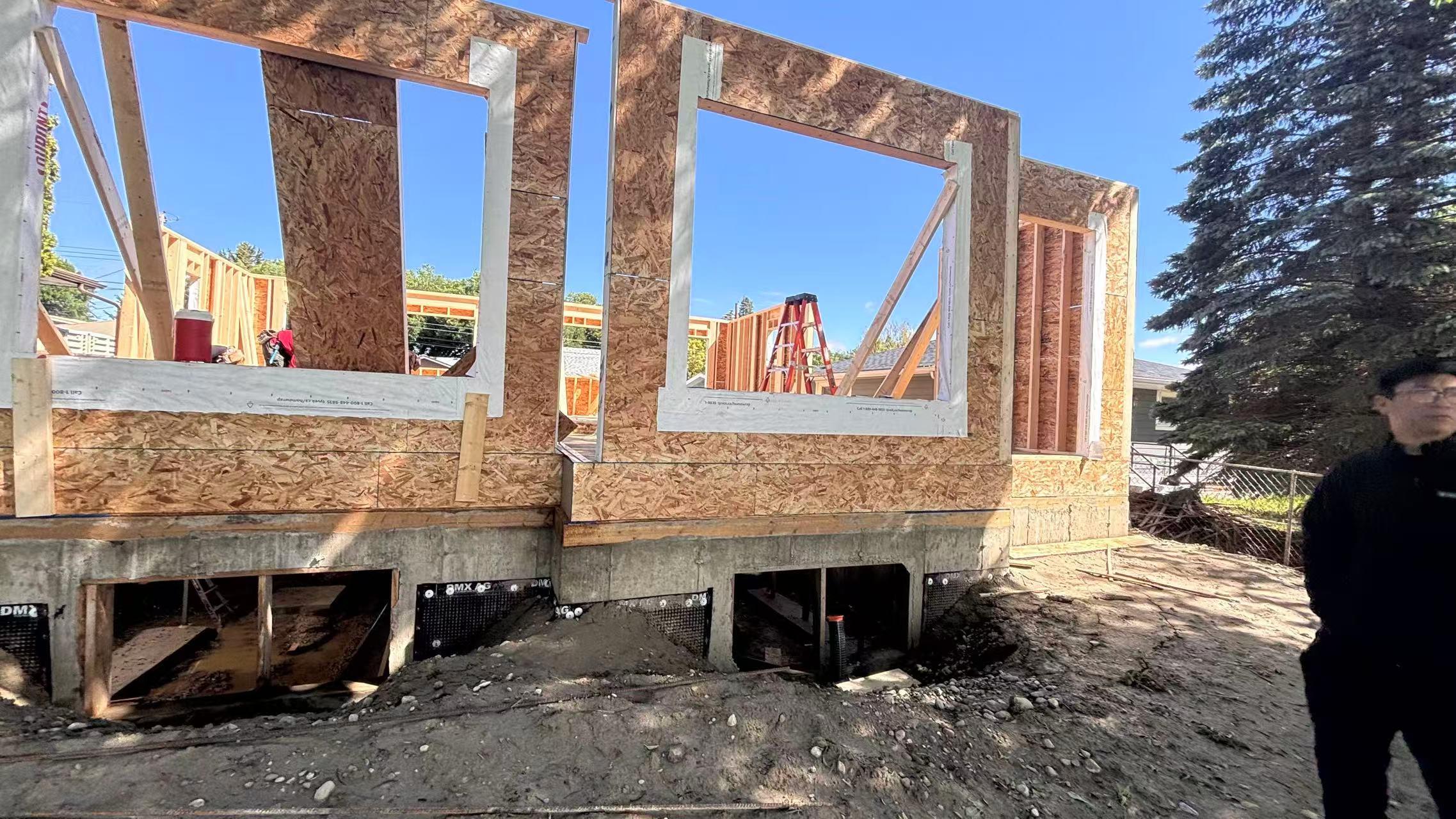 Framing detail and structure